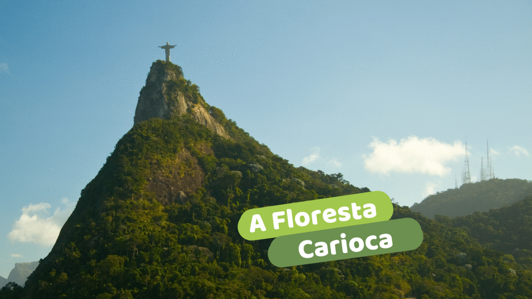 A Floresta Carioca