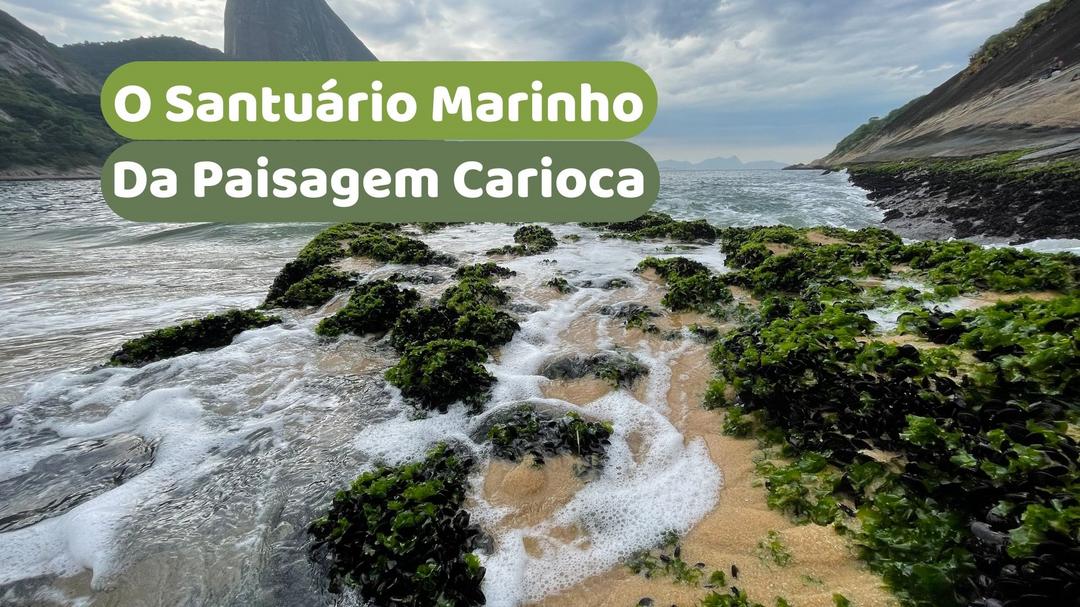 O Santuário Marinho da Paisagem Carioca
