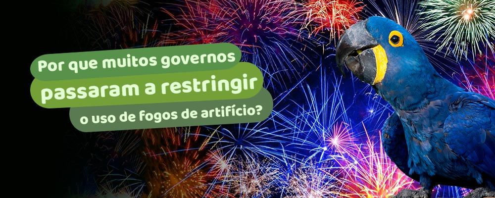 Lei que proíbe fogos de artifício de estampido é promulgada no