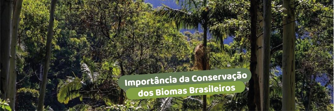 Importância da Conservação dos Biomas Brasileiros